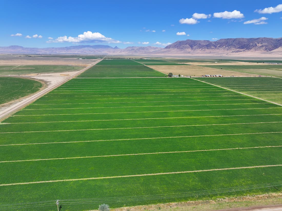 Far West Real Estate | Farms | Lower Kings River Farm