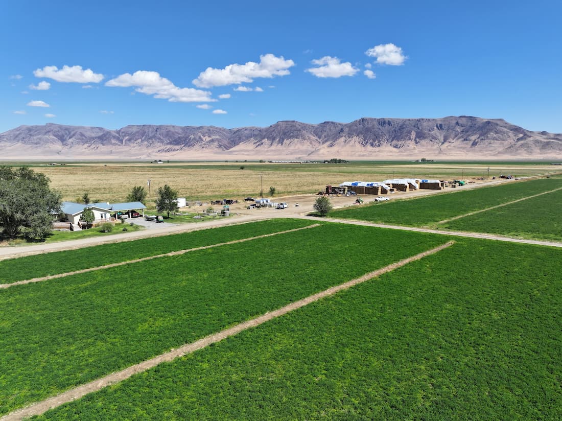 Far West Real Estate | Farms | Lower Kings River Farm