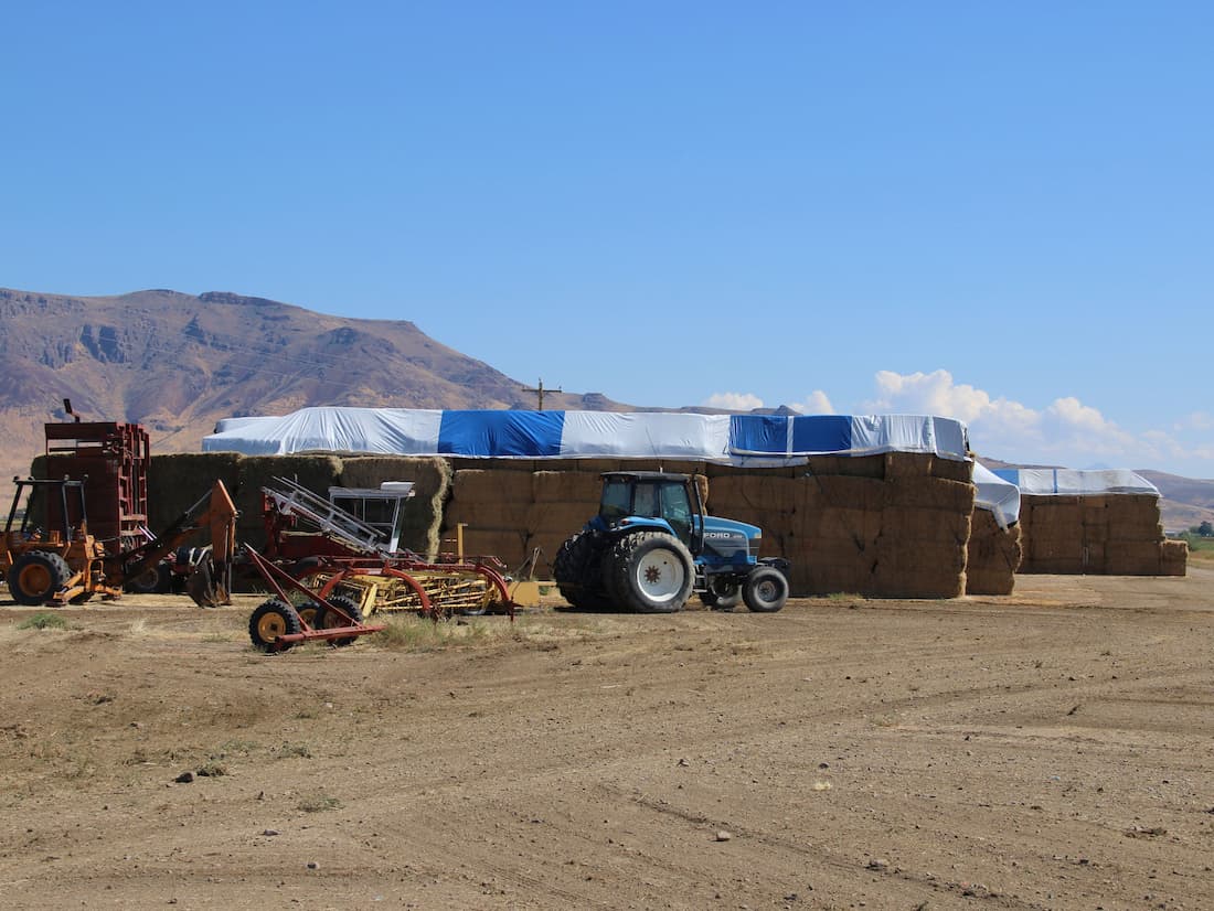 Far West Real Estate | Farms | Lower Kings River Farm